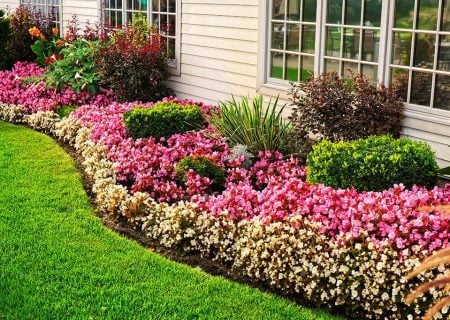 Line of flowers, shrubs, and cut grass in Rockville, MD