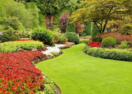 Landscape maintenance after lawn mowing service in Gaithersburg