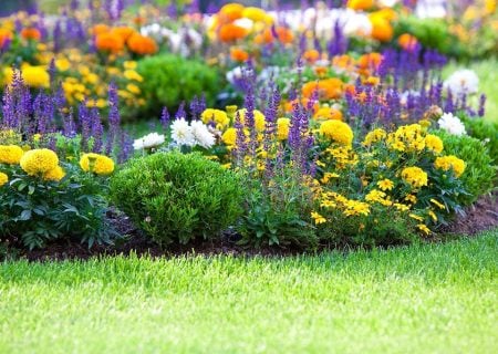 Colorful flowers in bloom after landscape design in Potomac, MD