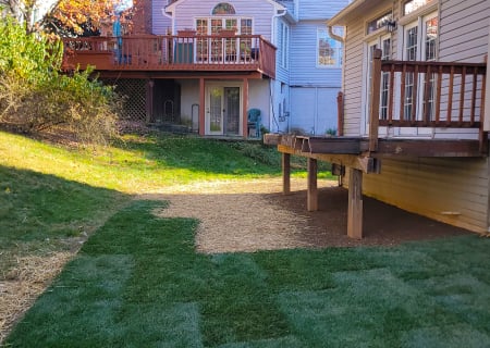 moyers-11-14-2024-sodding