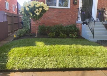 moyers-landscaping-job-10-25-24-1-rotated