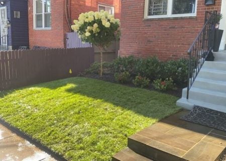 moyers-landscaping-job-10-25-24-3-rotated