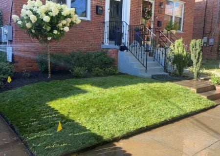 moyers-landscaping-job-10-25-24-4-rotated