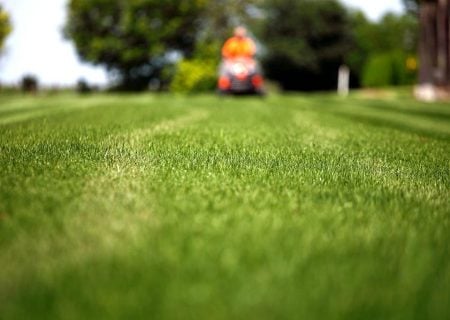 Lawn Mowing