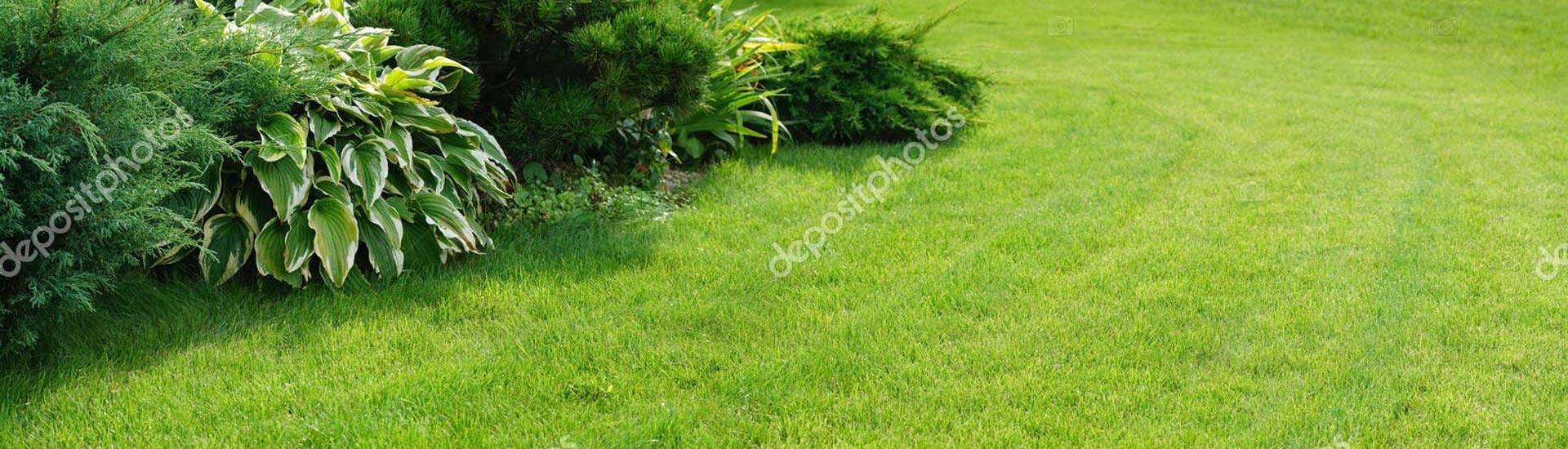 Lawn Care in Silver Spring, Bethesda, MD, Gaithersburg, Potomac, MD