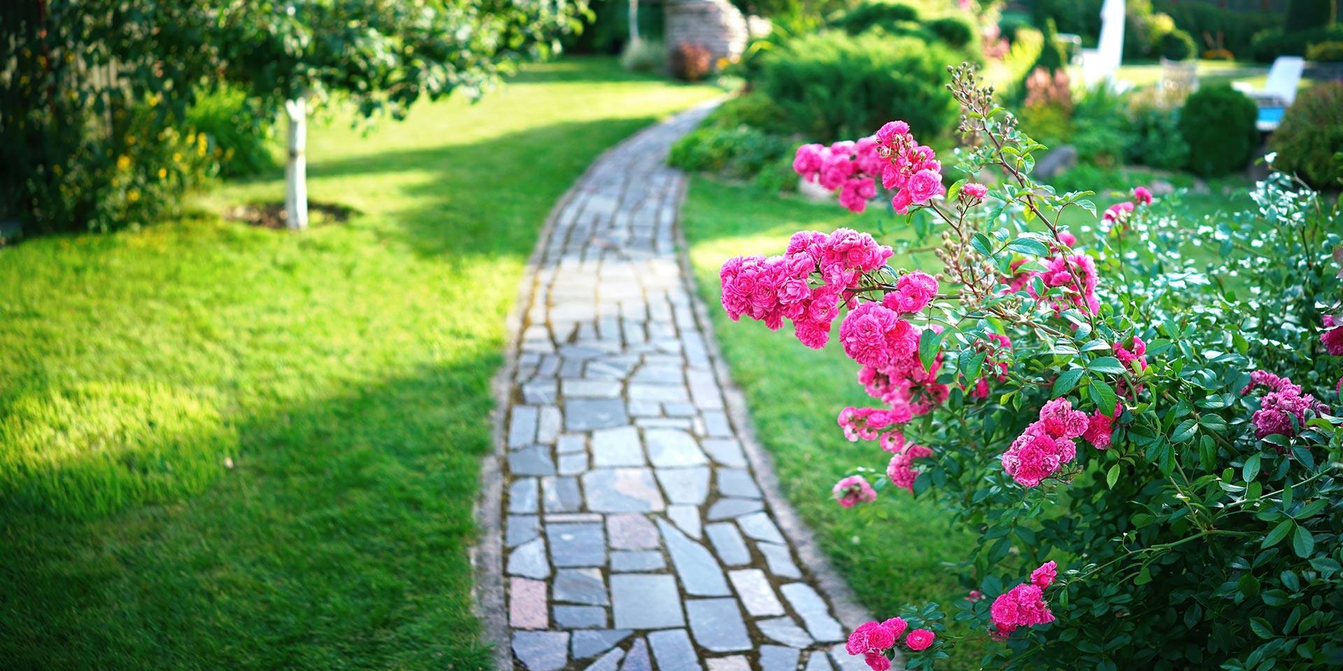 Landscaping Service Bethesda, MD, Gaithersburg, Rockville, Silver Spring