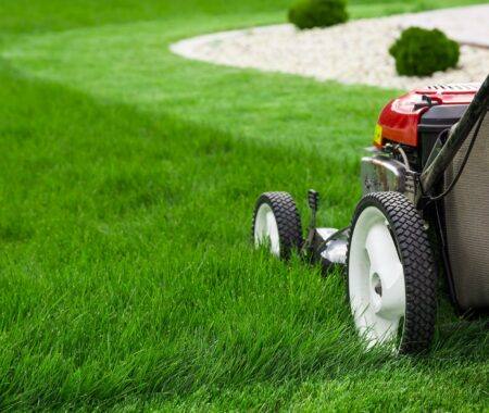 Lawn Maintenance in Bethesda, MD, Silver Spring, Potomac, MD, Rockville