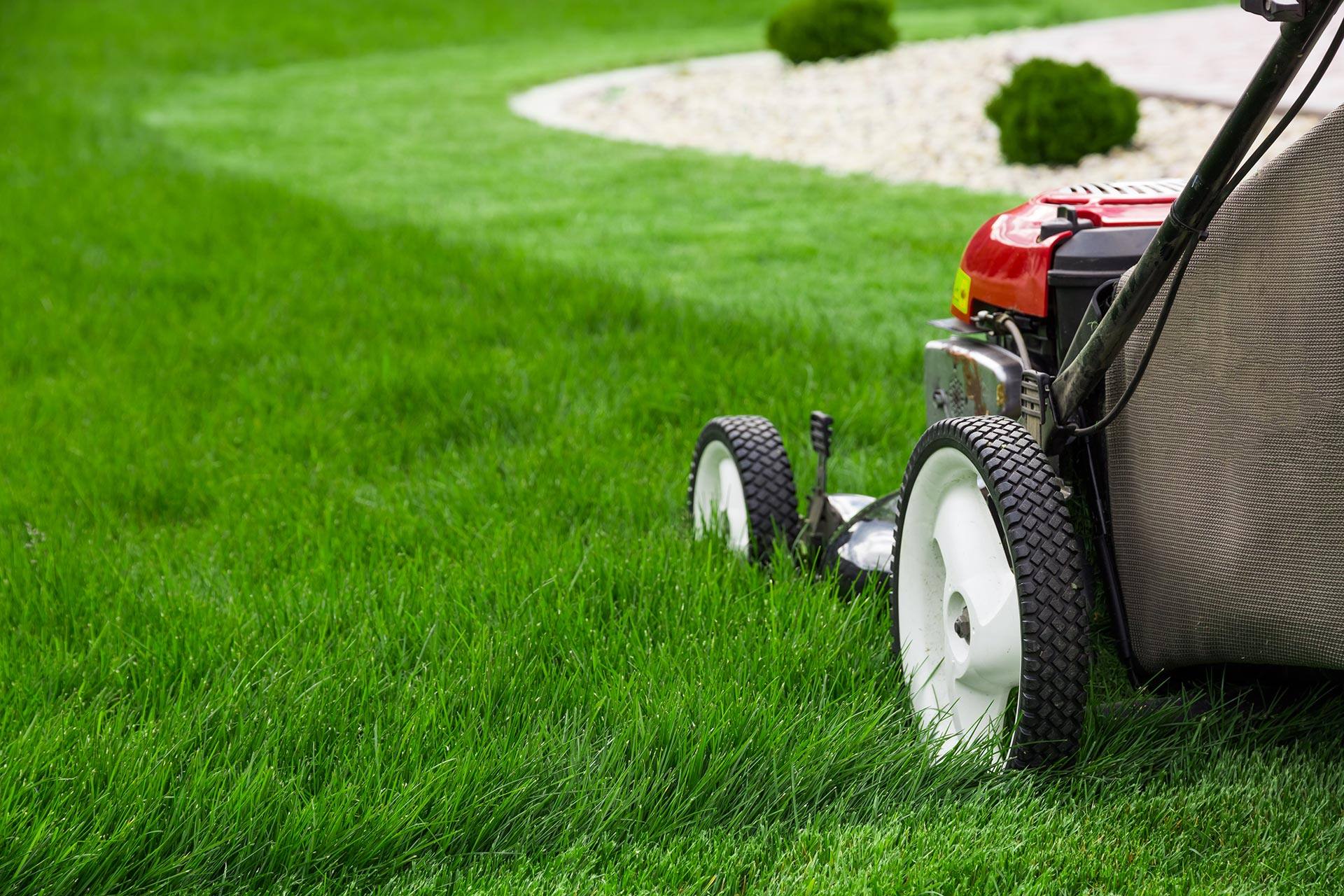 Lawn Maintenance in Bethesda, MD, Silver Spring, Potomac, MD, Rockville