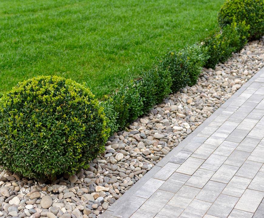 Row of trimmed hedges and rocks along hardscaped lawn in Potomac, MD