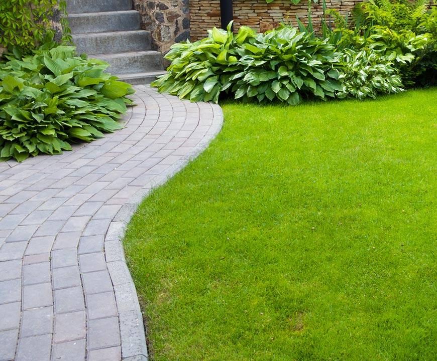 Lawn Maintenance in Bethesda, MD