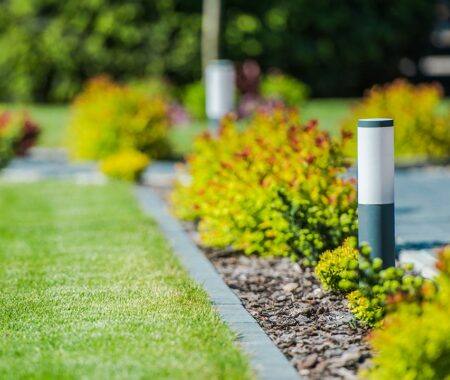 Close up of landscaping design in Silver Spring, MD
