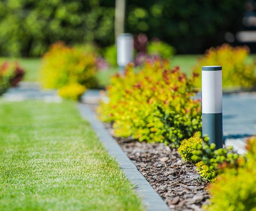 Close up of landscaping in Rockville, MD with green grass, mulch, plants, and landscape lighting