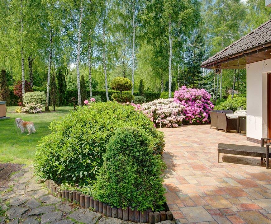 Backyard landscaping view at a home in Gaithersburg with cut grass, trimmed hedges, and flowering bushes