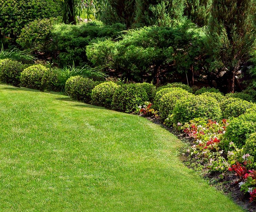 Lawn maintenance in Germantown with pristine grass cutting, shrub maintenance, and landscaping service