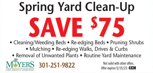 moyers coupon