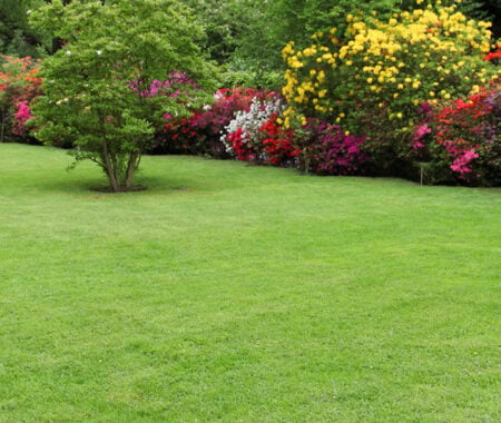 Lawn Care in Burtonsville, Chevy Chase, MD, Bethesda, MD, Clarksburg, MD, Takoma Park, MD, Silver Spring