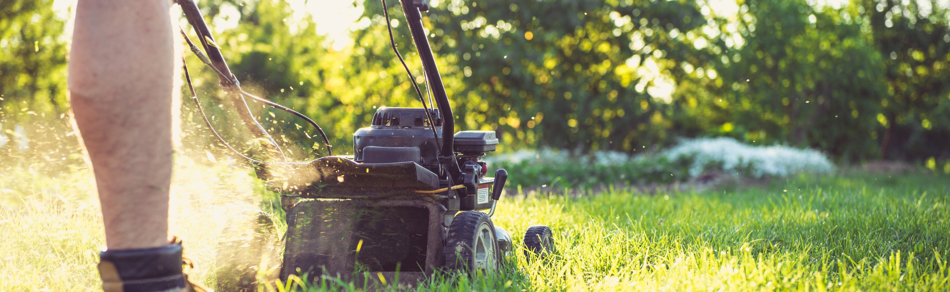 Grass Cutting in Germantown, MD, Bethesda, MD, Silver Spring, Gaithersburg, Potomac, MD, Rockville