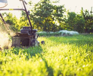 lawn mowing provided by Landscaper in Montgomery Village, Maryland