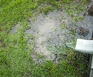 flooded lawn that needs yard drainage services in Chevy Chase, MD