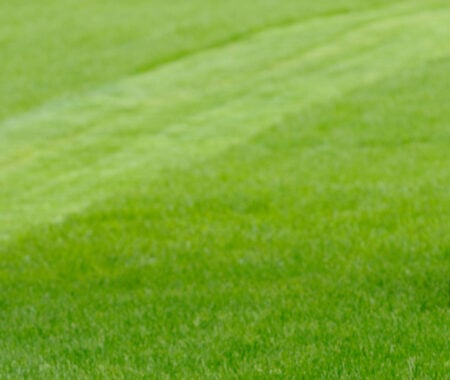 Grass Cutting in Silver Spring, Takoma Park, MD, Chevy Chase, MD, Potomac, MD, Gaithersburg, Germantown, MD,