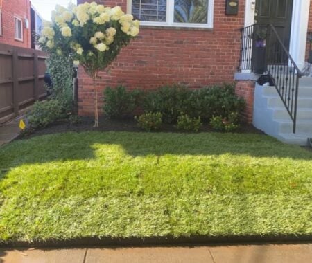 Landscaping Services Silver Spring, Rockville, Bethesda, MD, Germantown, MD, Gaithersburg, Potomac, MD,