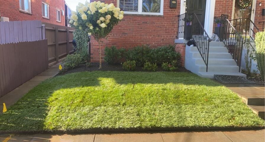 Landscaping Services Silver Spring, Rockville, Bethesda, MD, Germantown, MD, Gaithersburg, Potomac, MD,