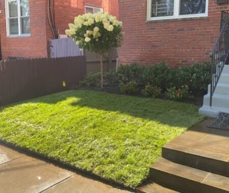 Keep Your Landscaping Looking Great All Summer in Silver Spring