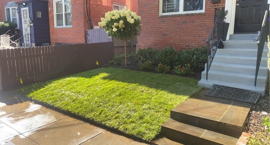 Keep Your Landscaping Looking Great All Summer in Silver Spring