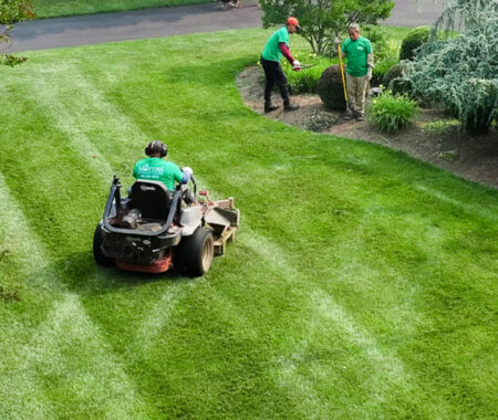 Lawn Care