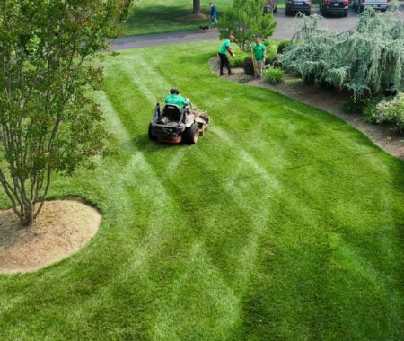 Lawn Care