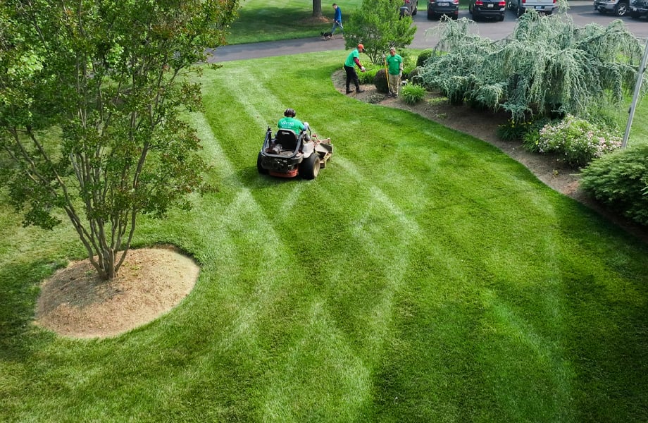 Grass Cutting, Lawn Care, Lawn Mowing Service in Derwood, MD