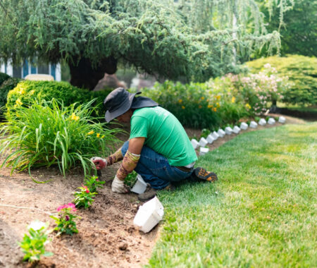 Lawn Care in Layhill, MD, Derwood, MD, Fairland, MD