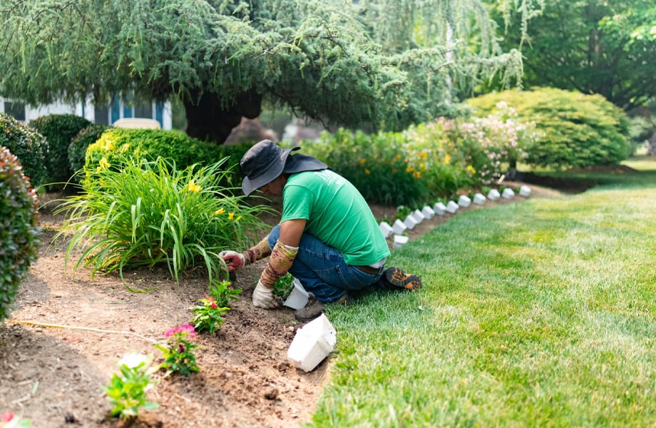 Landscaper, Landscaping, and Landscape Company in Derwood, MD