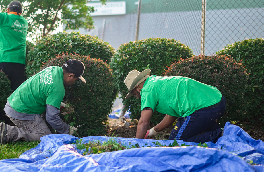 Lawn Maintenance and Seasonal Yard Cleanup in Fairland, MD