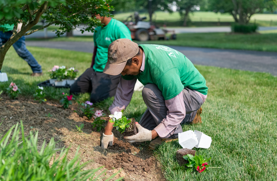 Landscaper, Landscaping, and Landscape Company in Fairland, MD
