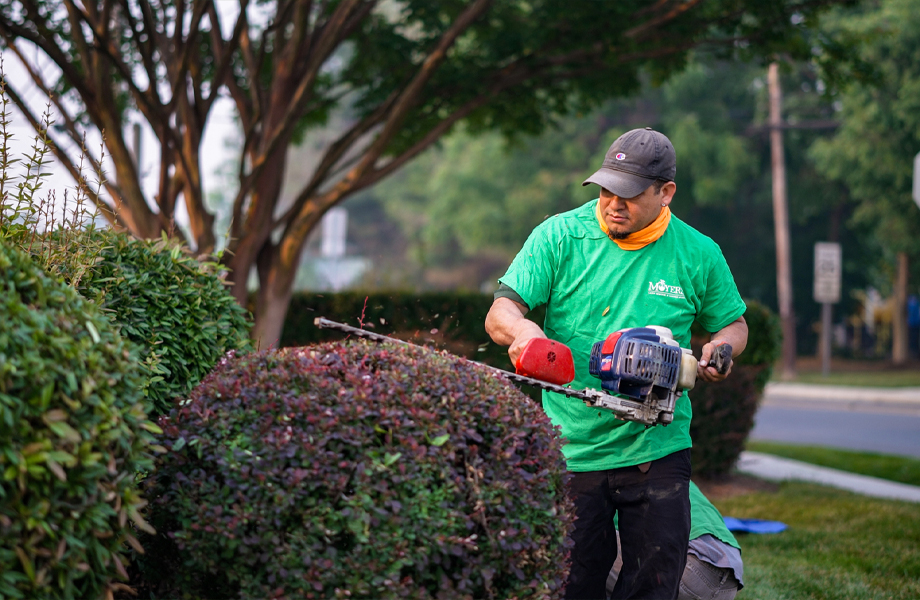 Lawn Maintenance and Seasonal Yard Cleanup in Layhill, MD
